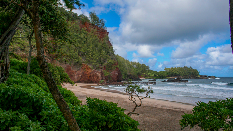 Illustration for article titled A Culinary Tour Of Eastern Maui